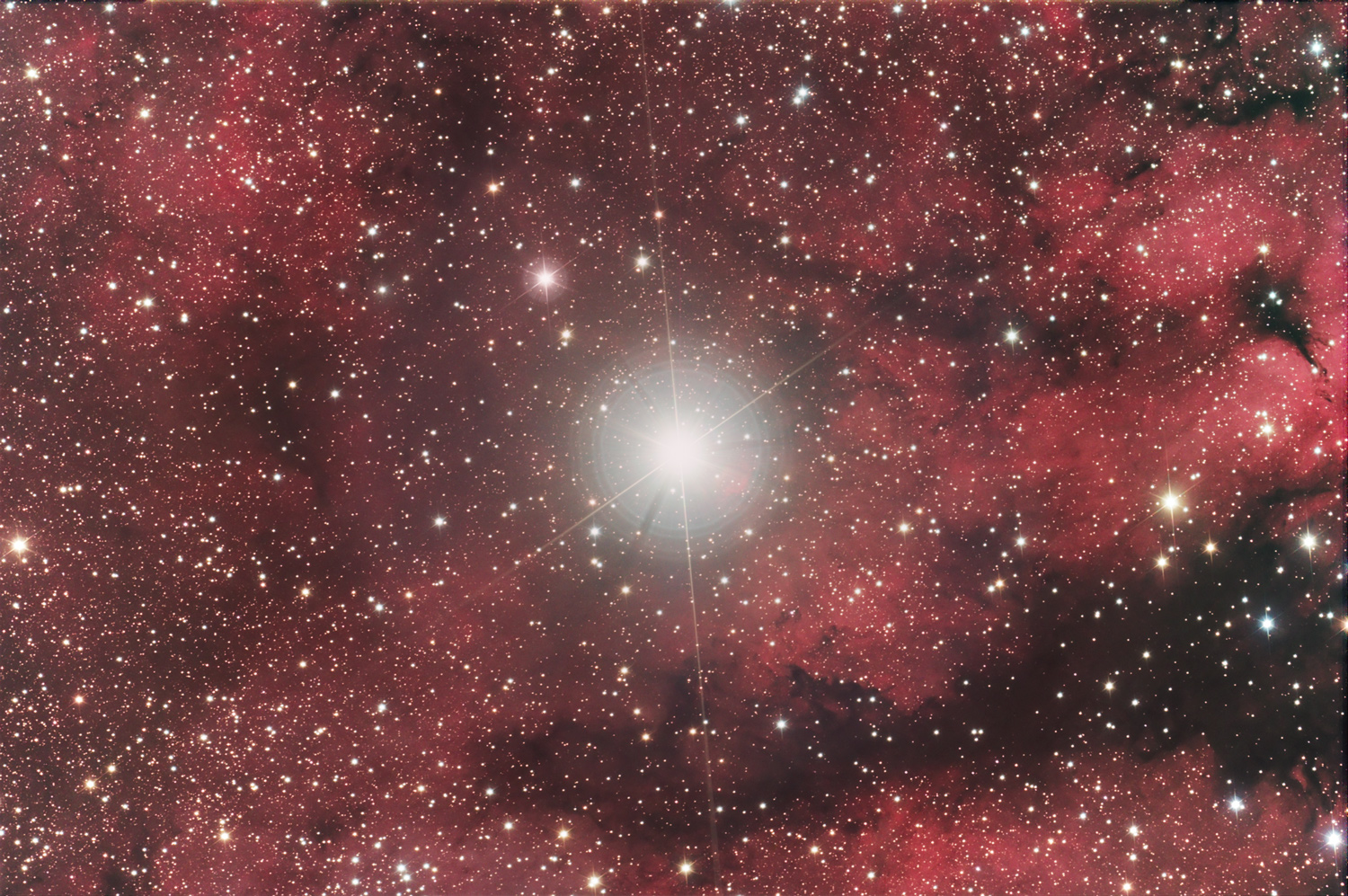 IC1318